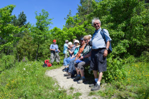 geführte Weinbergswanderung im Lieblichen Taubertal