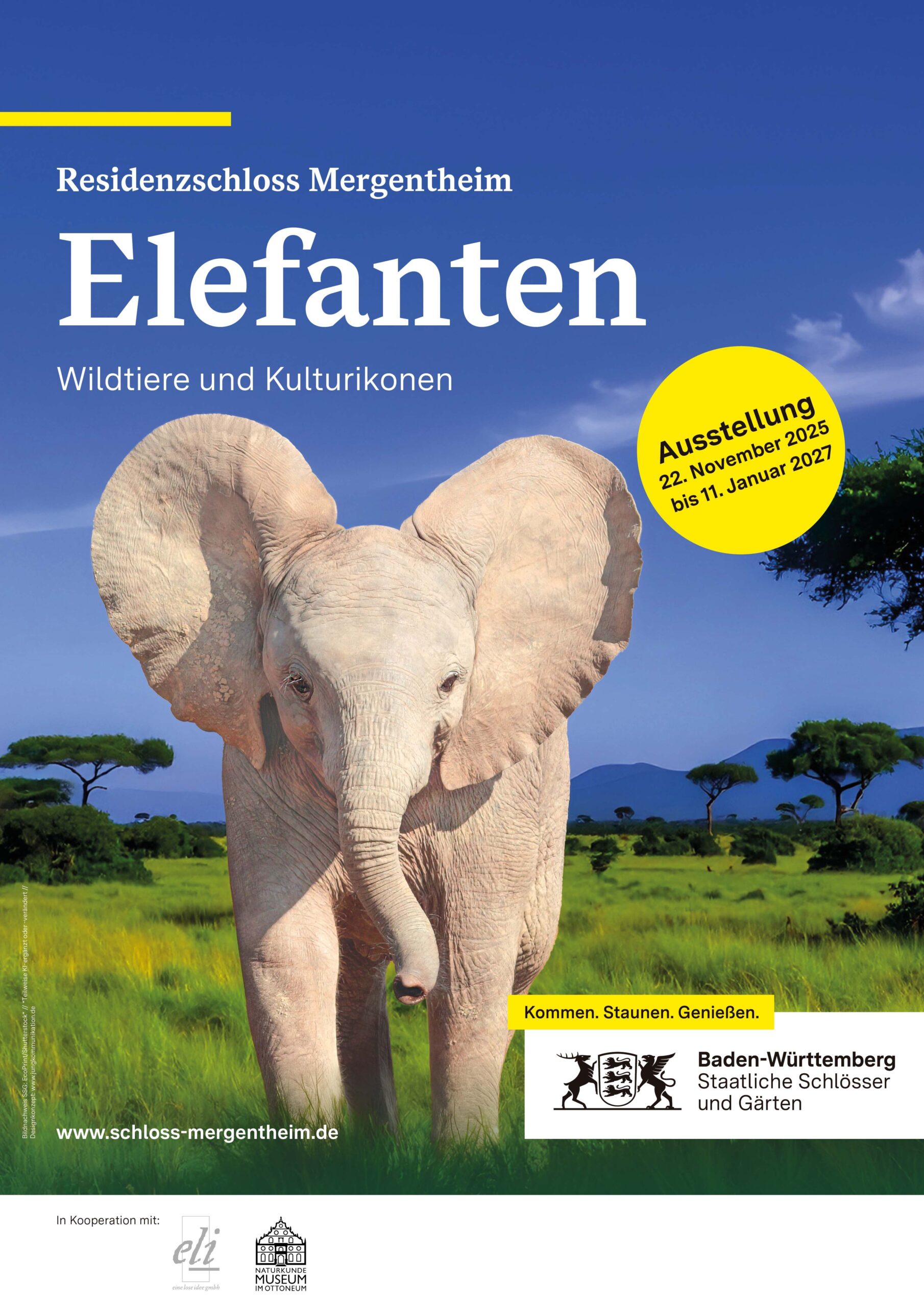 Sonderausstellung „Elefanten. Wildtiere und Kulturikonen“