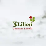 hotel drei lilien